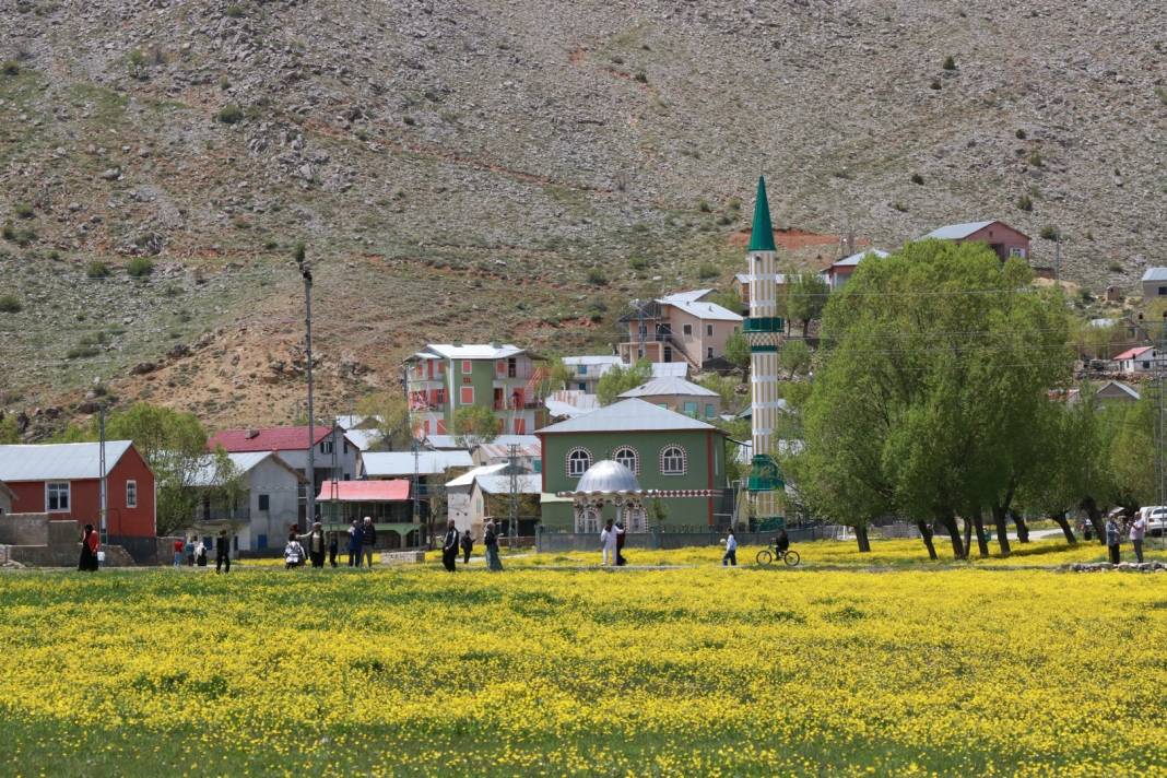 Konya’nın yalancı cenneti uyandı! Doğa tutkunları akın ediyor 4